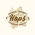 Natural Hops Abstract Vector Sign, Symbol or Logo Template. Hand Drawn Hops Branch with Classic Typography. Vintage Beer