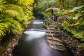 Natural hot springs of Tabacon in Arenal Volcano National Park (Costa Rica) Royalty Free Stock Photo