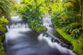 Natural hot springs of Tabacon in Arenal Volcano National Park (Costa Rica) Royalty Free Stock Photo