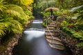 Natural hot springs of Tabacon in Arenal Volcano National Park (Costa Rica) Royalty Free Stock Photo