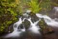 Natural hot springs of Tabacon in Arenal Volcano National Park (Costa Rica) Royalty Free Stock Photo
