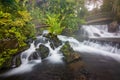 Natural hot springs of Tabacon in Arenal Volcano National Park (Costa Rica) Royalty Free Stock Photo