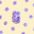 Natural Hydrangea violet flower, minimal floral pattern on beige background colored. Layout with fresh flowers. Spring