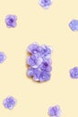 Natural Hydrangea violet flower, minimal floral pattern on beige background colored. Layout with fresh flowers. Spring