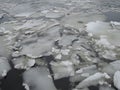 Natural ice blocks breaking up against shore and sea ice during freezing spring weather