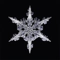 Natural ice crystal snowflake