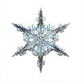 Natural ice crystal snowflake