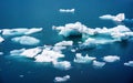 Natural iceberg floating in Jokulsarlon glacieer lagoon