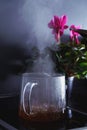 Natural infusion boiling in transparent glass pot on ceramic cooking stove emitting beautiful vapor