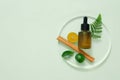 Natural ingredients - cinnamon, kumquat and green leaves decorated with amber dropper bottle on transparent podium