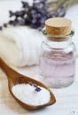 Natural Ingredients for Homemade Body Foot Face Lavender Salt Scrub Royalty Free Stock Photo