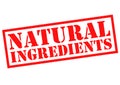NATURAL INGREDIENTS Royalty Free Stock Photo