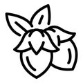 Natural jojoba icon, outline style