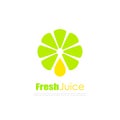 Natural juice vector logo