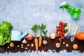 Fruits and vegetable harvest concept Royalty Free Stock Photo