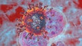 Natural killer body cell immune respone corona virus cell