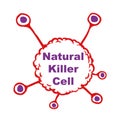 Natural killer cells Royalty Free Stock Photo