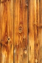 Natural Knotted Wood Texture