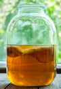 Natural kombucha fermented tea beverage healthy