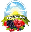Natural label with berries Royalty Free Stock Photo