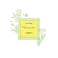 Natural label design, vector brand identity sketch elements for package, badge, card. Chamomile plant branch with