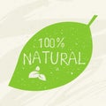 Natural label emblem icon, bio healthy organic label and high quality product badges. Eco, 100 bio and natural product