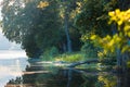 Natural lake in forest surrounded by trees, beautiful sunrise on summer morning with no people, yellow sun rays Royalty Free Stock Photo