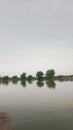 Natural Lake and Tress Royalty Free Stock Photo