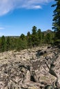 Natural landscape - Accumulations of sharp-angled stone blocks and ridge of rocks in a coniferous forest at background