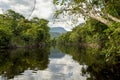 Natural Landscape in the Amazon Jungle, Venezuela