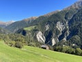 Natural landscape with beautiful pastures and mixed alpine forests on the slopes of the mountains in the Landwasser river valley