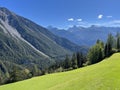 Natural landscape with beautiful pastures and mixed alpine forests on the slopes of the mountains in the Landwasser river valley