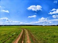 Natural landscape, clay soil road going to horizon trougth green field, blue sky, white clouds. beautiful meadow. Nature Royalty Free Stock Photo