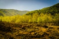 Natural Landscape Of The Country Turkey Royalty Free Stock Photo