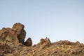 Natural landscape with desert and volcano rocks in Tenerife. Hiking in natural park Royalty Free Stock Photo