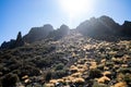 Natural landscape with desert and volcano rocks in Tenerife. Hiking in natural park Royalty Free Stock Photo
