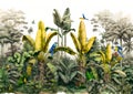natural landscape of the forest of banana and palm trees, in consistent colors with birds, butterflies and parrots