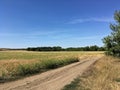 Natural landscape. Forest planting. Horizon. Off-road. Dirt road. Royalty Free Stock Photo