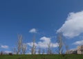 Natural landscape with grass and trees on the blue sky background with white clouds and part of typical building in Kyiv