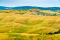 Natural landscape of hilly tuscany with the cultivated land