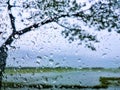 Natural Landscape Outside The Window With Rain Drops On The Glass Royalty Free Stock Photo