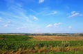 Green and yellow grass meadow and blue sky with small clouds. Royalty Free Stock Photo