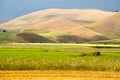 Natural landscape of the plain of Castelluccio di Norcia. Umbria, Italy