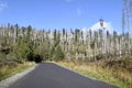 Natural natural landscape of Poland. Tourist road. Blue skies and tree trunks