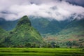 Natural Landscape of Rice Fields at Countryside, Mu Cang Chai, Vietnam. Scenery of Agriculture Farming