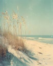 A beach landscape with sea oats, sand dune, ocean, and sky Royalty Free Stock Photo