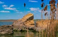 Natural landscape, shell stones in the water near the shore of the Khadzhibey estuary