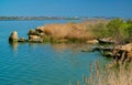 Natural landscape, shell stones in the water near the shore of the Khadzhibey estuary