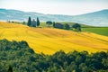 Natural landscape of summer at beautiful hilly field Tuscany Royalty Free Stock Photo