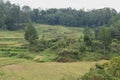 Natural Landscape of Tana Toraja.